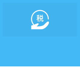 做賬報(bào)稅